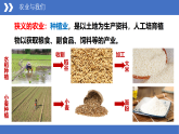 商务星球版八年级上册  4.1 因地制宜发展农业  课件