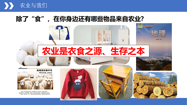 商务星球版八年级上册  4.1 因地制宜发展农业  课件08