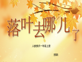 新人教版小学美术一上 第二单元 1.落叶去哪儿了 课件