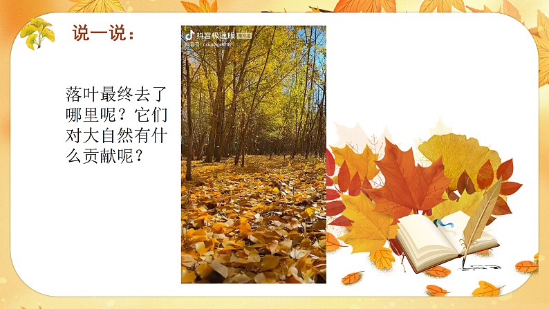 新人教版小学美术一上 第二单元 1.落叶去哪儿了 课件03