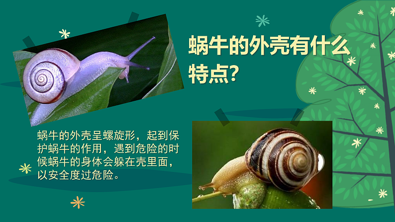 新人教版小学美术一上 第三单元 2.蜗牛的坚持 课件04