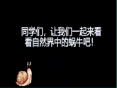新人教版小学美术一上 第三单元 2.蜗牛的坚持 课件