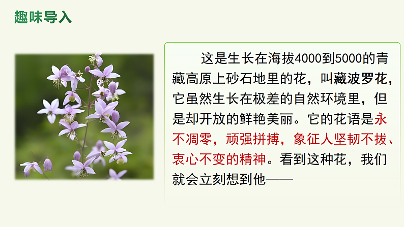 1.3《“探界者”钟扬》（课件+教案）-【中职专用】高二语文同步（高教版2023·职业模块）02