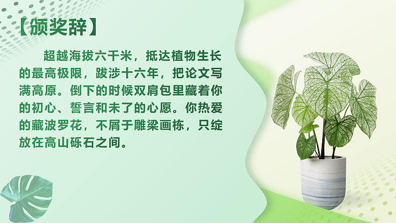 1.3《“探界者”钟扬》（课件+教案）-【中职专用】高二语文同步（高教版2023·职业模块）04