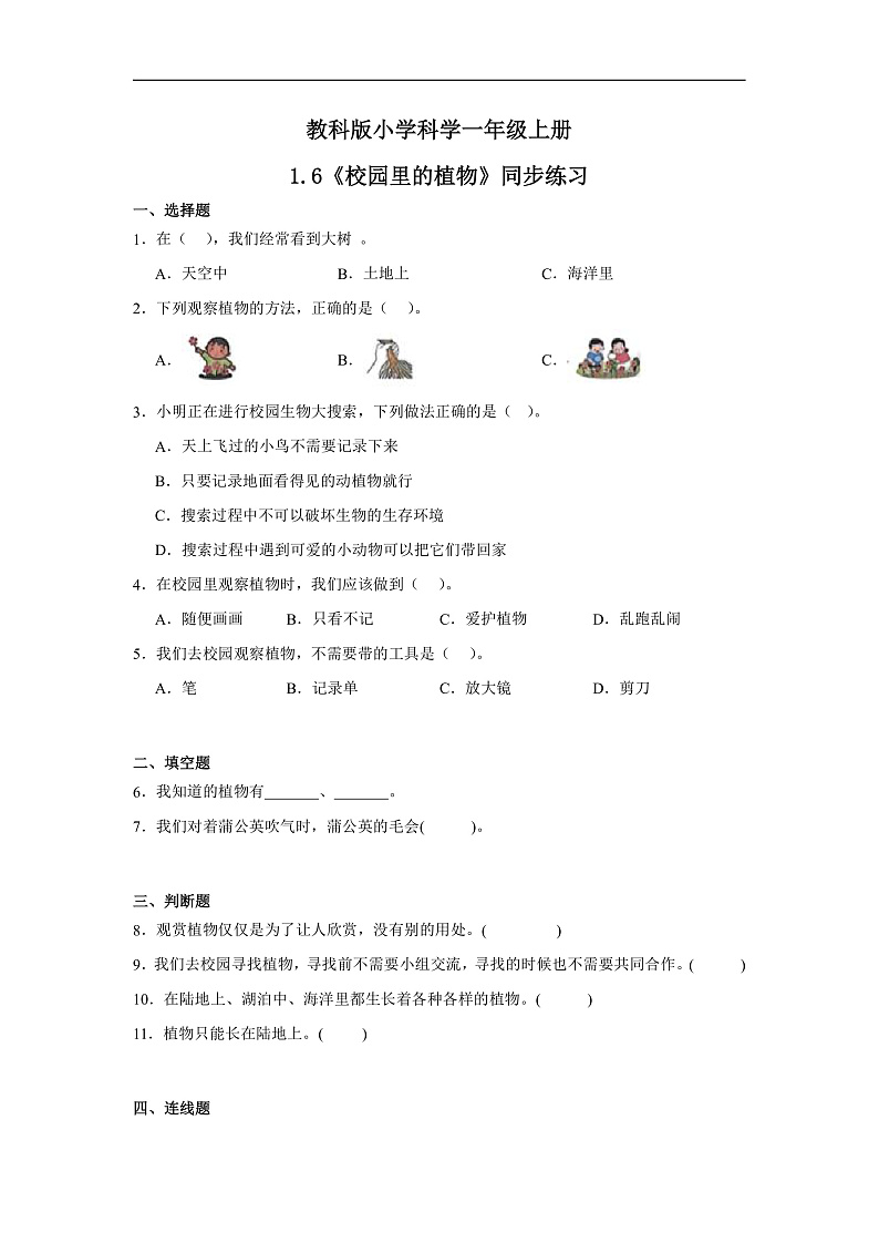 【核心素养】教科版小学科学一上 1.6《校园里的植物》课件+教案+练习（含答案）01