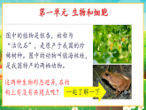 【新課標新教材】人教版生物七上1.1.1《觀察周邊環(huán)境中的生物》課件+教案+習(xí)題（含答案）