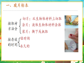 【新課標(biāo)新教材】人教版生物七上1.2.2《植物細(xì)胞》課件+教案+習(xí)題（含答案）