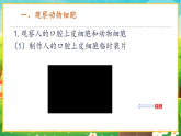 【新課標(biāo)新教材】人教版生物七上1.2.3《動物細(xì)胞》課件+教案+習(xí)題(含答案）