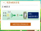 【新課標(biāo)新教材】人教版生物七上1.3.1《細(xì)胞通過分裂產(chǎn)生新細(xì)胞》課件+教案+習(xí)題（含答案）