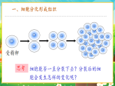 【新課標新教材】人教版生物七上1.3.2《動物體的結構層次》課件+教案+習題（含答案）