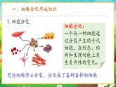 【新課標新教材】人教版生物七上1.3.2《動物體的結構層次》課件+教案+習題（含答案）