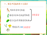 【新課標新教材】人教版生物七上1.3.3《植物體的結(jié)構(gòu)層次》課件+教案+習題（含答案）