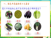 【新課標新教材】人教版生物七上1.3.3《植物體的結(jié)構(gòu)層次》課件+教案+習題（含答案）