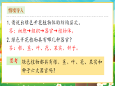【新課標新教材】人教版生物七上2.1.1《藻類、苔蘚和蕨類》課件+教案+習題（含答案）