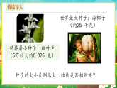 【新課標(biāo)新教材】人教版生物七上2.1.2《種子植物》課件+教案+習(xí)題（含答案）