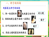 【新課標(biāo)新教材】人教版生物七上2.1.2《種子植物》課件+教案+習(xí)題（含答案）