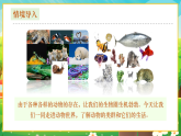 【新課標新教材】人教版生物七上2.2.1《無脊椎動物》課件+教案+習題（含答案）