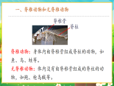 【新課標新教材】人教版生物七上2.2.1《無脊椎動物》課件+教案+習題（含答案）