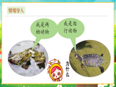 【新課標新教材】人教版生物七上2.2.2《脊椎動物--兩棲動物和爬行動物》課件+教案+習題 （含答案）