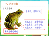 【新課標新教材】人教版生物七上2.2.2《脊椎動物--兩棲動物和爬行動物》課件+教案+習題 （含答案）