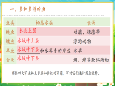 【新課標(biāo)新教材】人教版生物七上2.2.2《脊椎動(dòng)物--魚》課件+教案+習(xí)題（含答案）