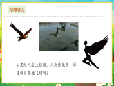 【新課標(biāo)新教材】人教版生物七上2.2.2《脊椎動(dòng)物--鳥(niǎo)和哺乳動(dòng)物》課件+教案+習(xí)題 （含答案）