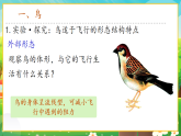 【新課標(biāo)新教材】人教版生物七上2.2.2《脊椎動(dòng)物--鳥(niǎo)和哺乳動(dòng)物》課件+教案+習(xí)題 （含答案）