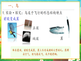 【新課標(biāo)新教材】人教版生物七上2.2.2《脊椎動(dòng)物--鳥(niǎo)和哺乳動(dòng)物》課件+教案+習(xí)題 （含答案）