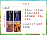 【新課標(biāo)新教材】人教版生物七上2.3.1《微生物的分布》課件+教案+習(xí)題 （含答案）