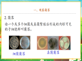 【新課標(biāo)新教材】人教版生物七上2.3.1《微生物的分布》課件+教案+習(xí)題 （含答案）