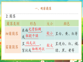 【新課標(biāo)新教材】人教版生物七上2.3.1《微生物的分布》課件+教案+習(xí)題 （含答案）
