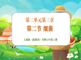【新課標(biāo)新教材】人教版生物七上2.3.2《細(xì)菌》課件+教案+習(xí)題 （含答案）