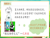 【新課標(biāo)新教材】人教版生物七上2.3.2《細(xì)菌》課件+教案+習(xí)題 （含答案）