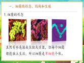 【新課標(biāo)新教材】人教版生物七上2.3.2《細(xì)菌》課件+教案+習(xí)題 （含答案）