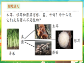 【新課標(biāo)新教材】人教版生物七上2.3.3《真菌》課件+教案+習(xí)題 （含答案）