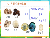 【新課標(biāo)新教材】人教版生物七上2.3.3《真菌》課件+教案+習(xí)題 （含答案）