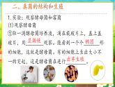 【新課標(biāo)新教材】人教版生物七上2.3.3《真菌》課件+教案+習(xí)題 （含答案）