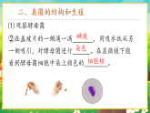 【新課標(biāo)新教材】人教版生物七上2.3.3《真菌》課件+教案+習(xí)題 （含答案）
