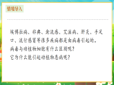 【新課標(biāo)新教材】人教版生物七上2.3.4《病毒》課件+教案+習(xí)題 （含答案）