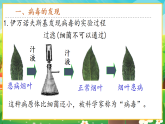 【新課標(biāo)新教材】人教版生物七上2.3.4《病毒》課件+教案+習(xí)題 （含答案）