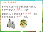 【新課標(biāo)新教材】人教版生物七上2.3.4《病毒》課件+教案+習(xí)題 （含答案）