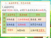 【新課標(biāo)新教材】人教版生物七上2.3.4《病毒》課件+教案+習(xí)題 （含答案）