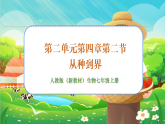 【新課標新教材】人教版生物七上2.4.2《從種到界》課件+教案+習題 （含答案）