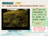 初中历史人教版七年级上册第8课 夏商周时期的科技与文化 课件
