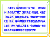 （ 人教部编版2024）七年级语文上册同步 整本书阅读《朝花夕拾》精读、略读、浏览 课件+教案+导学案+同步作业含解析版