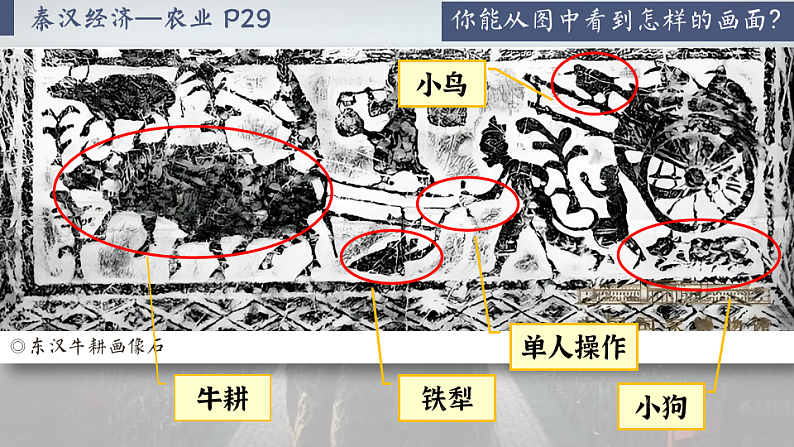 【特色课件】中职历史部编高教版2023中国历史第5课秦汉时期的经济科技与文化课件ppt第5页