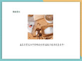 【核心素養(yǎng)新課標(biāo)】嶺南版美術(shù)四年級上冊第10課《鹽的妙用》課件+教學(xué)設(shè)計