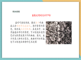 【核心素養(yǎng)新課標(biāo)】嶺南版美術(shù)四年級上冊第10課《鹽的妙用》課件+教學(xué)設(shè)計