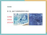 【核心素養(yǎng)新課標(biāo)】嶺南版美術(shù)四年級上冊第10課《鹽的妙用》課件+教學(xué)設(shè)計