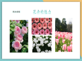 【新課標核心素養(yǎng)】嶺南版美術(shù)六年級上冊第9課《寫意花卉》課件+教學設(shè)計